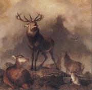 Sir Edwin Landseer A Majestic Gathering oil painting picture wholesale